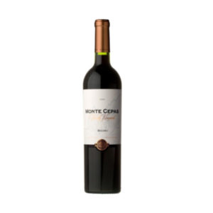 Bodegas Monte Cepas Malbec 2017 Argentinië