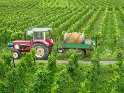 nowweb-wellington-winery-wijnveld